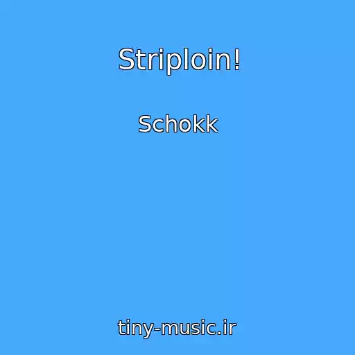 کاور آهنگ Striploin! از Schokk