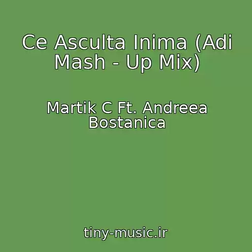 کاور آهنگ Ce Asculta Inima (Adi Mash - Up Mix) از Martik C Ft. Andreea Bostanica