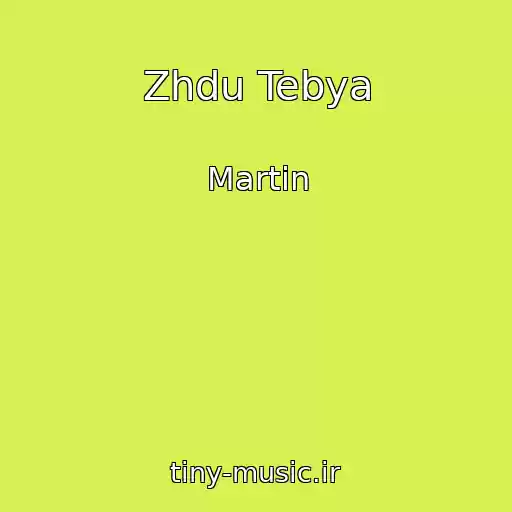 کاور آهنگ Zhdu Tebya از Martin