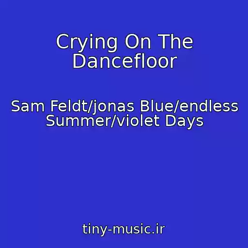 کاور آهنگ Crying On The Dancefloor از Sam Feldt/jonas Blue/endless Summer/violet Days