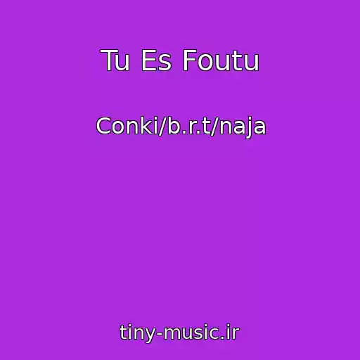 کاور آهنگ Tu Es Foutu از Conki/b.r.t/naja