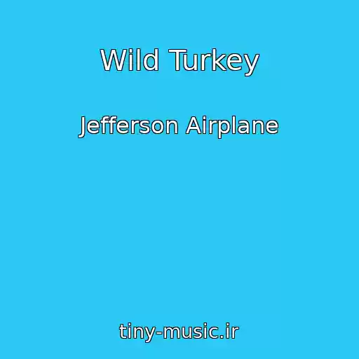 کاور آهنگ Wild Turkey از Jefferson Airplane
