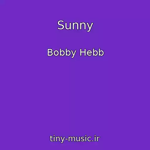 کاور آهنگ Sunny از Bobby Hebb