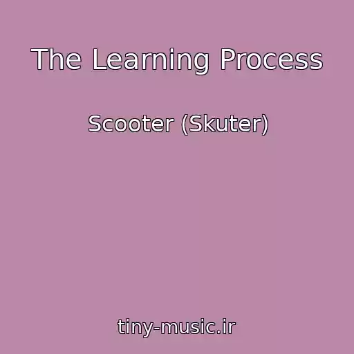 کاور آهنگ The Learning Process از Scooter (Skuter)
