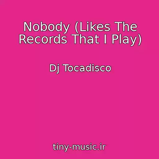 کاور آهنگ Nobody (Likes The Records That I Play) از Dj Tocadisco