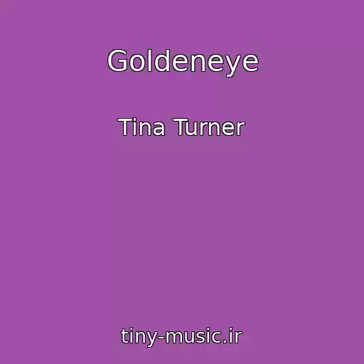 کاور آهنگ Goldeneye از Tina Turner