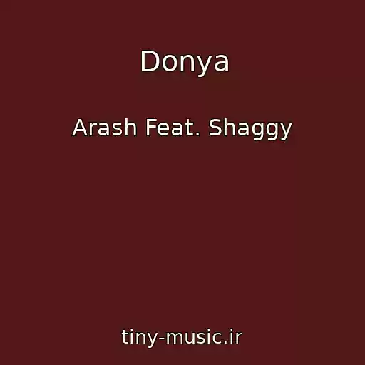 کاور آهنگ Donya از Arash Feat. Shaggy