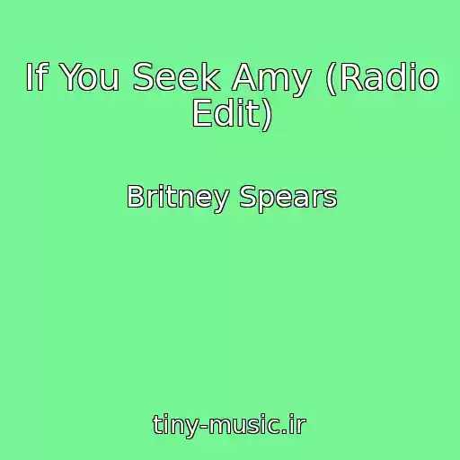 کاور آهنگ If You Seek Amy (Radio Edit) از Britney Spears