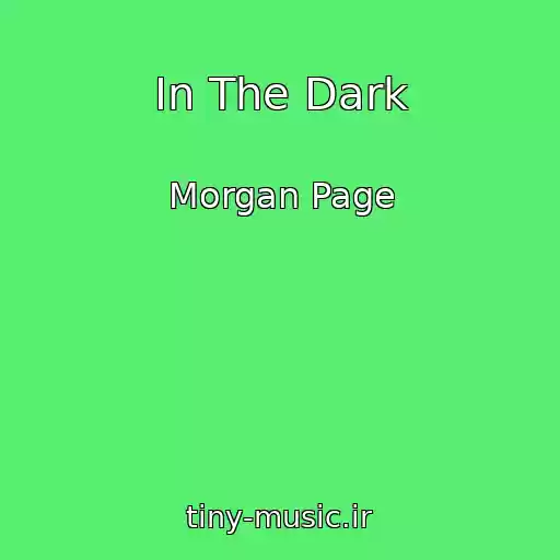 کاور آهنگ In The Dark از Morgan Page