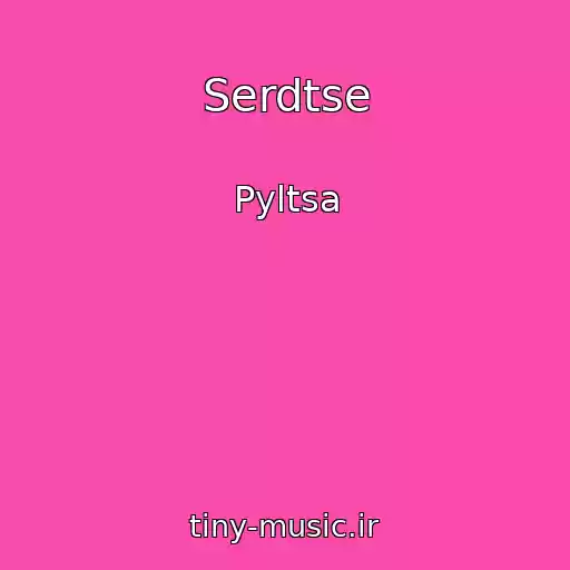 کاور آهنگ Serdtse از Pyltsa