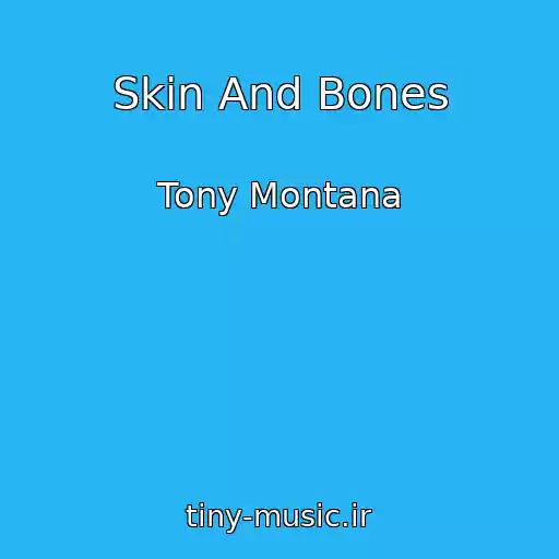 کاور آهنگ Skin And Bones از Tony Montana