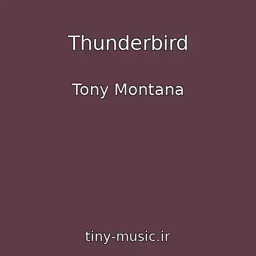 کاور آهنگ Thunderbird از Tony Montana