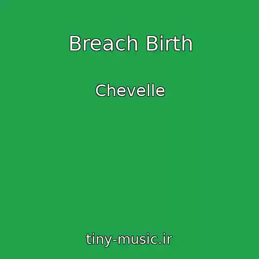 کاور آهنگ Breach Birth از Chevelle