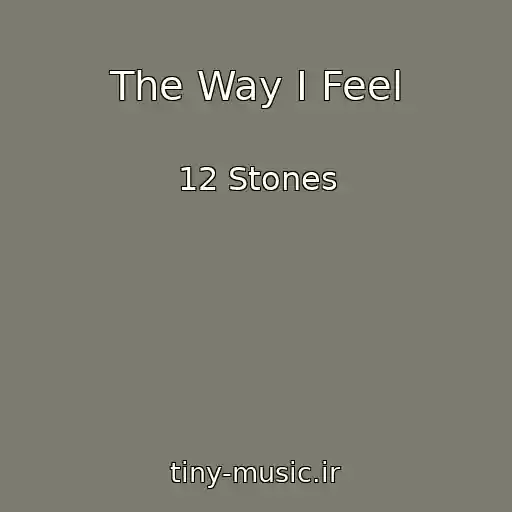 کاور آهنگ The Way I Feel از 12 Stones