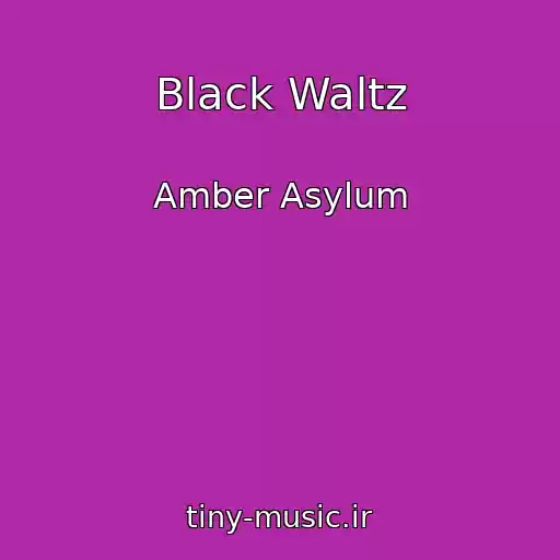 کاور آهنگ Black Waltz از Amber Asylum