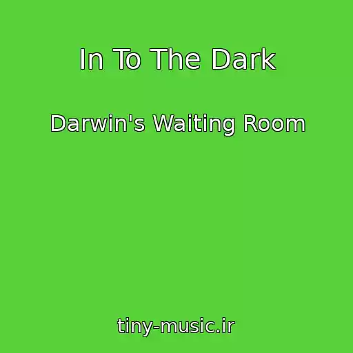 کاور آهنگ In To The Dark از Darwin's Waiting Room