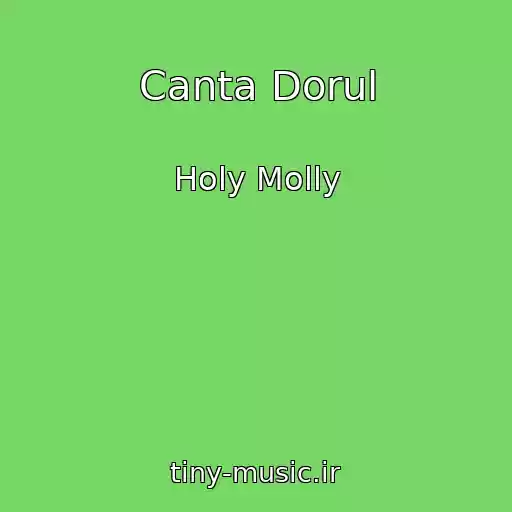 کاور آهنگ Canta Dorul از Holy Molly