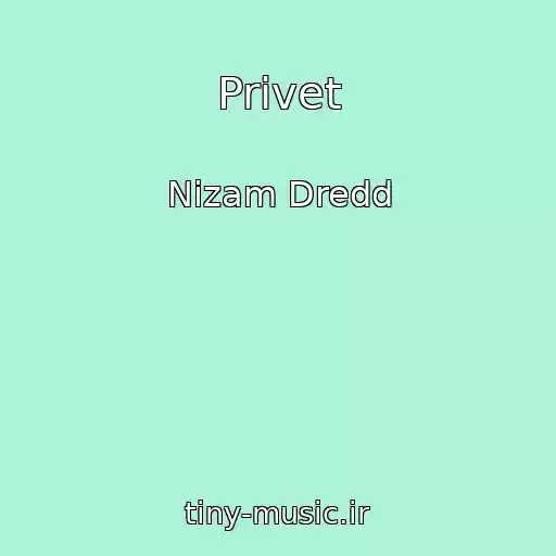 کاور آهنگ Privet از Nizam Dredd