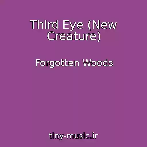 کاور آهنگ Third Eye (New Creature) از Forgotten Woods