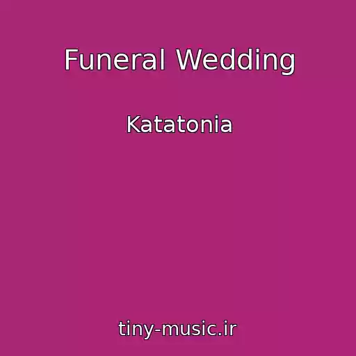 کاور آهنگ Funeral Wedding از Katatonia