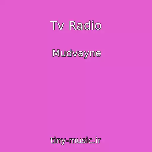 کاور آهنگ Tv Radio از Mudvayne