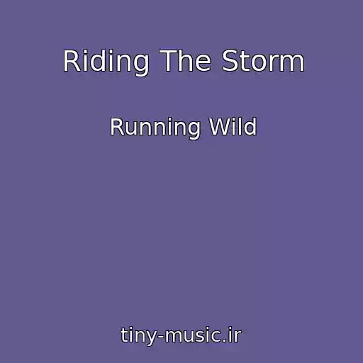 کاور آهنگ Riding The Storm از Running Wild