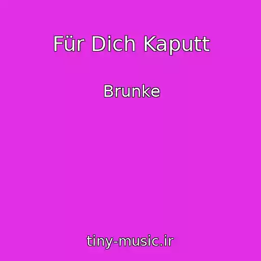 کاور آهنگ Für Dich Kaputt از Brunke