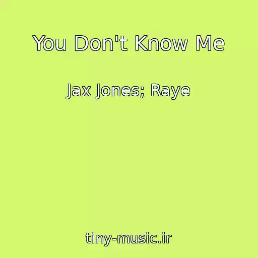 کاور آهنگ You Don't Know Me از Jax Jones; Raye