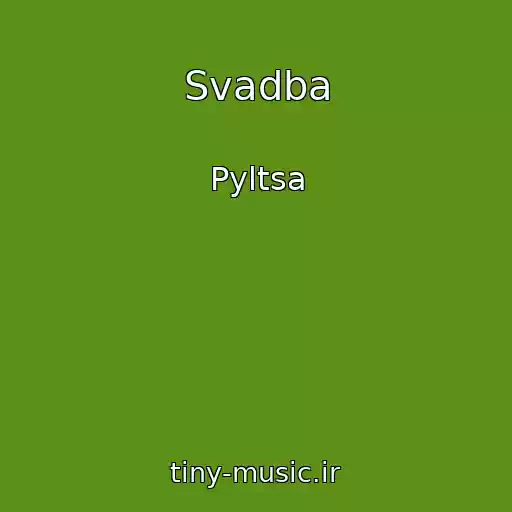 کاور آهنگ Svadba از Pyltsa