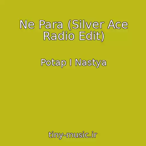 کاور آهنگ Ne Para (Silver Ace Radio Edit) از Potap I Nastya