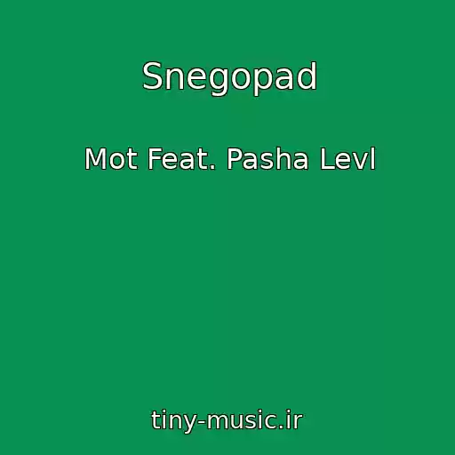 کاور آهنگ Snegopad از Mot Feat. Pasha Levl