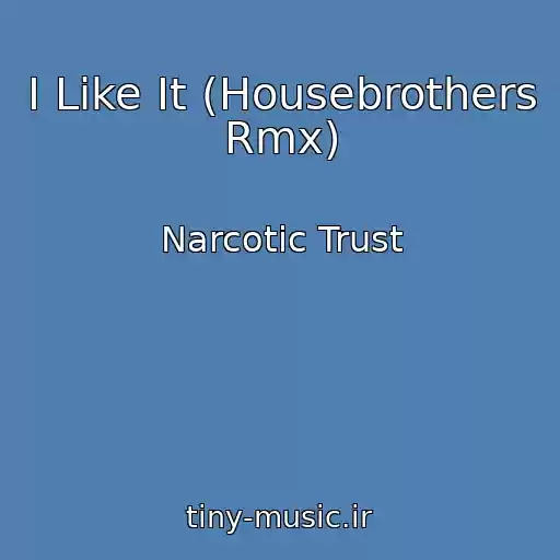 کاور آهنگ I Like It (Housebrothers Rmx) از Narcotic Trust
