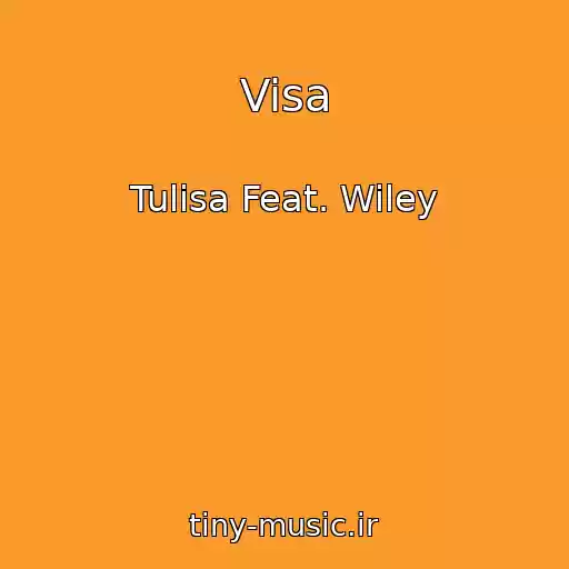 کاور آهنگ Visa از Tulisa Feat. Wiley