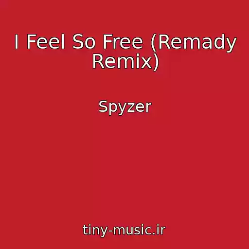 کاور آهنگ I Feel So Free (Remady Remix) از Spyzer