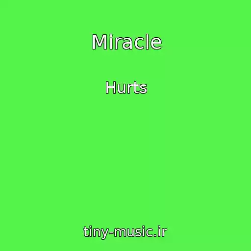 کاور آهنگ Miracle از Hurts