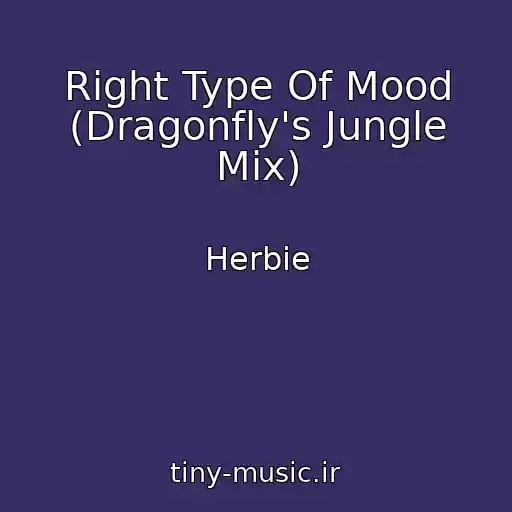 کاور آهنگ Right Type Of Mood (Dragonfly's Jungle Mix) از Herbie