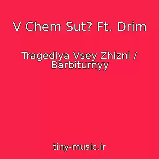 کاور آهنگ V Chem Sut? Ft. Drim از Tragediya Vsey Zhizni / Barbiturnyy