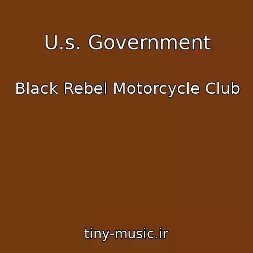 کاور آهنگ U.s. Government از Black Rebel Motorcycle Club