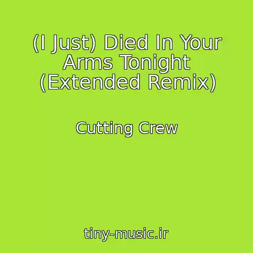 کاور آهنگ (I Just) Died In Your Arms Tonight (Extended Remix) از Cutting Crew