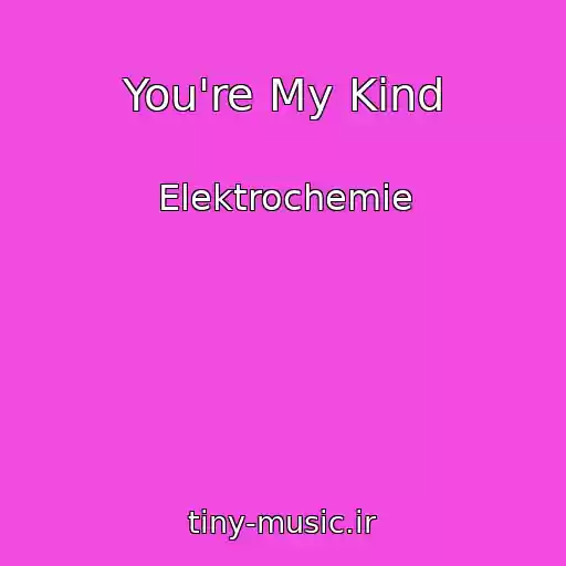 کاور آهنگ You're My Kind از Elektrochemie
