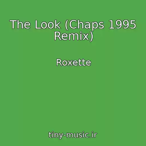 کاور آهنگ The Look (Chaps 1995 Remix) از Roxette