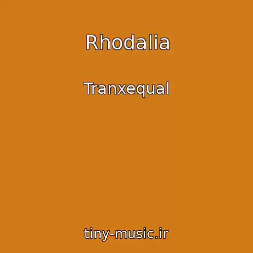 کاور آهنگ Rhodalia از Tranxequal