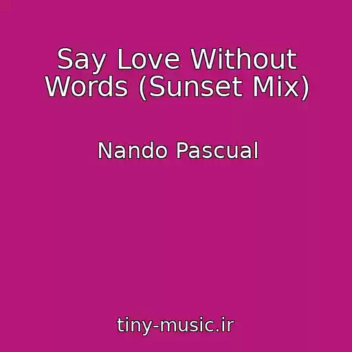 کاور آهنگ Say Love Without Words (Sunset Mix) از Nando Pascual