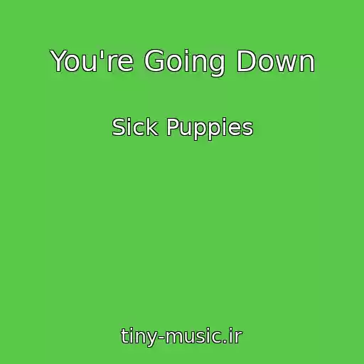کاور آهنگ You're Going Down از Sick Puppies