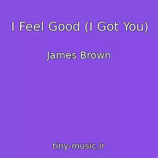 کاور آهنگ I Feel Good (I Got You) از James Brown