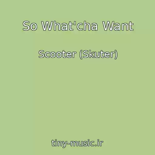 کاور آهنگ So What'cha Want از Scooter (Skuter)