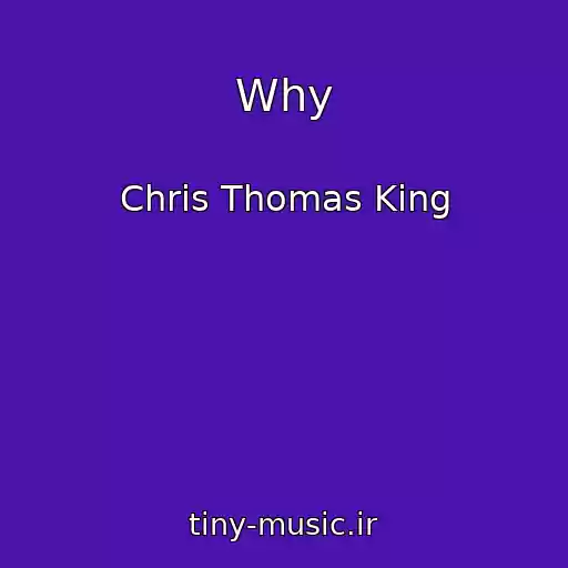 کاور آهنگ Why از Chris Thomas King