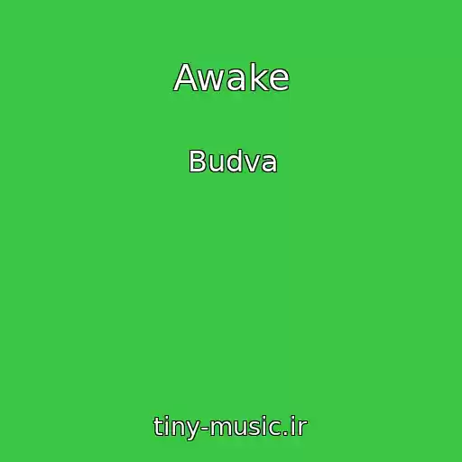 کاور آهنگ Awake از Budva
