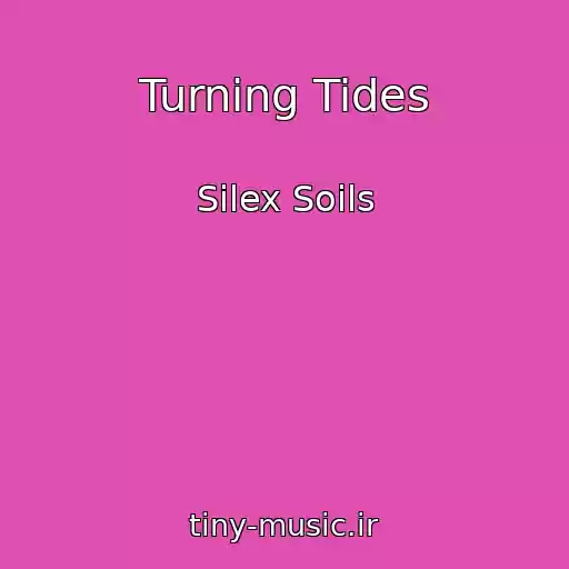 کاور آهنگ Turning Tides از Silex Soils