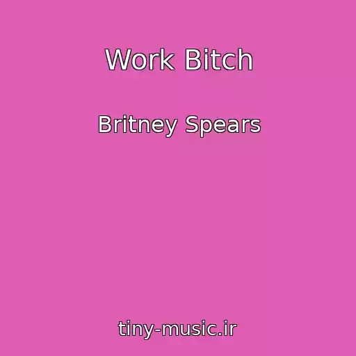 کاور آهنگ Work Bitch از Britney Spears